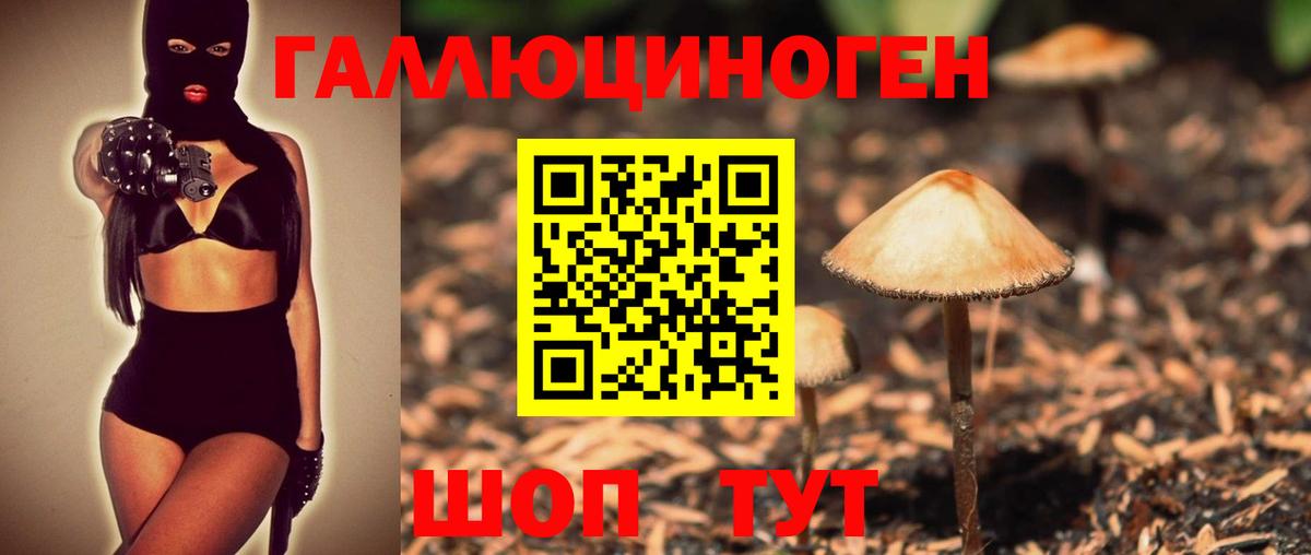 Псилоцибиновые грибы MAGIC MUSHROOMS  Вход с VPN  Галлюциногенные грибы Psilocybine cubensis  Избербаш 